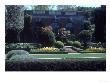 Filoli Estate, California by Mark Gibson Limited Edition Pricing Art Print