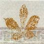 Golden Leaves Iv by S. Hadley Limited Edition Print