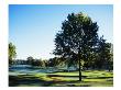 Brookside Golf & Country Club, Hole 17 by Stephen Szurlej Limited Edition Print