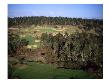 Bandon Trails Golf Course, Holes 5 And 16 by J.D. Cuban Limited Edition Print