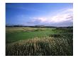 Muirfield Golf Club, Hole 3 by Stephen Szurlej Limited Edition Print