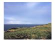 Old Head Golf Links by Stephen Szurlej Limited Edition Print