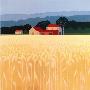 Autumn Wheat Field by Jacqueline Penney Limited Edition Print