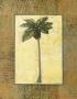 Palm Tree Iii by Norman Wyatt Jr. Limited Edition Pricing Art Print