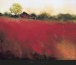 Red Land by Thomas Stotts Limited Edition Print
