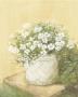 White Flowers In Basket by Cuca Garcia Limited Edition Pricing Art Print