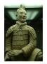 Terra-Cotta Warrior Excavated At Qin Shi Huangdis Tomb by Richard Nowitz Limited Edition Print