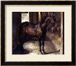 Anglo-Arabian Stallion In The Imperial Stables At Versailles by Thã©Odore Gã©Ricault Limited Edition Print