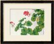 Geranium by Hsi-Tsun Chang Limited Edition Print