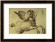 Pegasus by Jacopo De'barbari Limited Edition Pricing Art Print