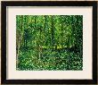 Woods And Undergrowth, 1887 by Vincent Van Gogh Limited Edition Print