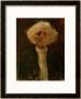 Study Of The Head Of A Blind Man by Gustav Klimt Limited Edition Pricing Art Print