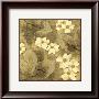 Sun-Kissed Dogwoods I by Nancy Slocum Limited Edition Print