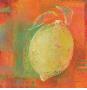 Lemon Impression by Annie Saint Leger Limited Edition Print