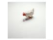 Chicken Looking At An Egg by William Swartz Limited Edition Print