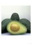 Avocados by Tom Vano Limited Edition Print