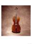 Cello by Martin Fox Limited Edition Print