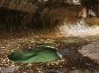 The Subway Is A Geologic Formation Of Sandstone Carved By Water In The Western Half Of Zion Nationa by Don Grall Limited Edition Print