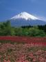 Beautiful View Of Mountain by Michihiko Kanegae Limited Edition Print