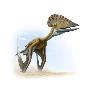 Tupuxuara, A Type Of Pterosaur, Lived In Present Day Brazil. by National Geographic Society Limited Edition Print