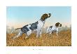 Pointer by Sandro Nardini Limited Edition Pricing Art Print