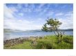 View Along Loch Scridain From Eilean A Ghaill, Scotland by Elliott Neep Limited Edition Print