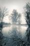 Morning Mist by Paul Knight Limited Edition Pricing Art Print