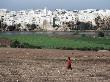 Fields Near Essaouira, Morocco, North Africa, Africa by Jon Hart Gardey Limited Edition Print