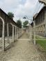 Electric Fence, Auschwitz Concentration Camp, Now A Memorial And Museum, Oswiecim Near Krakow by R H Productions Limited Edition Print
