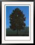 Le Seize Septembre by Rene Magritte Limited Edition Print