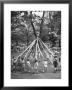 School Children Playing Around The May Pole by Martha Holmes Limited Edition Print