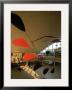 Flight By Alexander Calder In International Arrivals Terminal At New York International Airport by Dmitri Kessel Limited Edition Pricing Art Print
