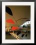 Flight By Alexander Calder In International Arrivals Terminal At New York International Airport by Dmitri Kessel Limited Edition Print