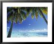 Tropical Beach, North Aitutaki Island, Cook Islands by Peter Adams Limited Edition Pricing Art Print