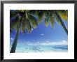 Tropical Beach, North Aitutaki Island, Cook Islands by Peter Adams Limited Edition Print