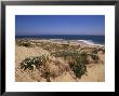 Beach, Cape Trafalgar, Andalucia, Spain by Jean Brooks Limited Edition Print