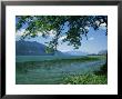 Lac Du Bourget, Near Aix Les Bains, Savoie, Rhone Alpes, France by Michael Busselle Limited Edition Print