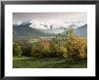 Landscape Near Chambery, Savoie, Rhone Alpes, French Alps, France by Michael Busselle Limited Edition Print