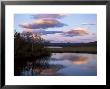 Trees And Lake At Sunset, Laponia, Lappland, Sweden, Scandinavia by Gavin Hellier Limited Edition Print