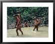 Yanomami Indians Fishing, Brazil, South America by Robin Hanbury-Tenison Limited Edition Print