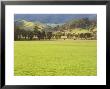 Pasture, Biggara Valley, Victoria, Australia by Jochen Schlenker Limited Edition Pricing Art Print