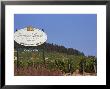 Sign For Domaine Laroche And The Les Clos Grand Cru Vineyard, Chablis, France by Per Karlsson Limited Edition Print