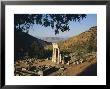 Delphi, Sanctuary Of Athena, Greece, Europe by Charles Bowman Limited Edition Pricing Art Print