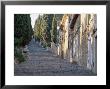 Cobbled Steps Leading To The Calvary, Pollensa, Mallorca (Majorca), Balearic Islands, Spain, Europe by Ruth Tomlinson Limited Edition Print