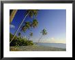 Darkwood Beach, Antigua, Caribbean, West Indies by John Miller Limited Edition Print
