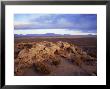 Landscape, Bolivian Altiplano, Bolivia, South America by Colin Brynn Limited Edition Print