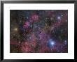 The Vela Supernova Remnant by Stocktrek Images Limited Edition Pricing Art Print