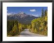 Autumn Colours Lining The Road, Jasper National Park, British Columbia, Canada by Gavin Hellier Limited Edition Print