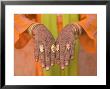 Young Indian Girl With Hennaed Hands, Jaipur, Rajasthan, India by Walter Bibikow Limited Edition Pricing Art Print