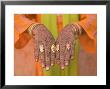 Young Indian Girl With Hennaed Hands, Jaipur, Rajasthan, India by Walter Bibikow Limited Edition Print